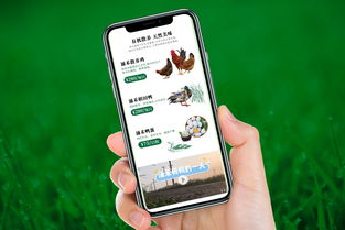自然之涌，純凈之禾 涌禾農場全案品牌形象塑造之路